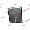 Радиатор WP10 SH SHAANXI / Shacman (ШАНКСИ / Шакман) DZ9112539268 фото 2 Ставрополь